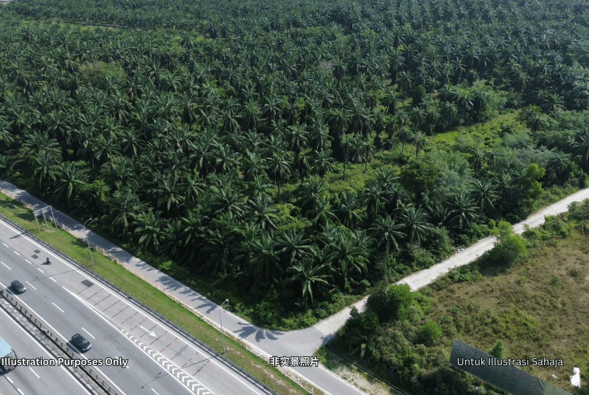 此高速公路旁的空地图片仅供参考，用于展示待售土地类型。