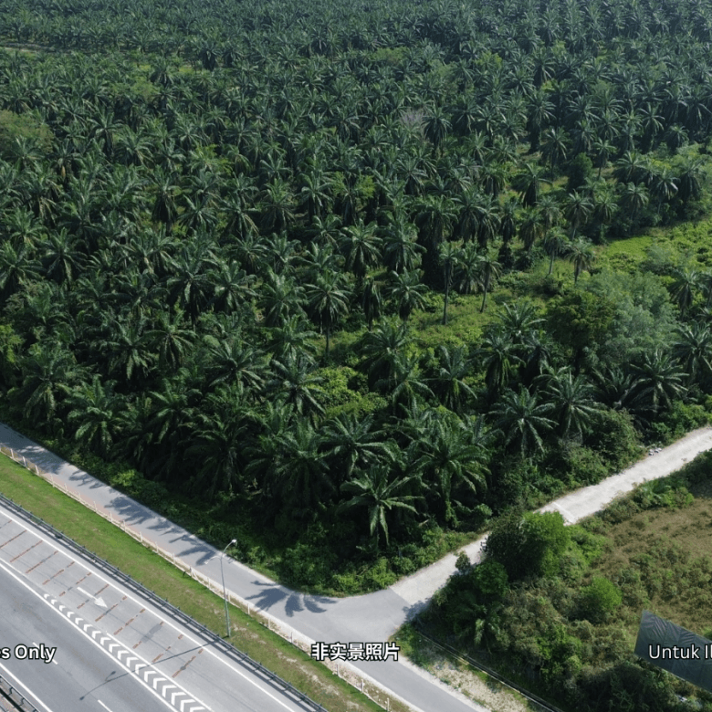 此高速公路旁的空地图片仅供参考，用于展示待售土地类型。